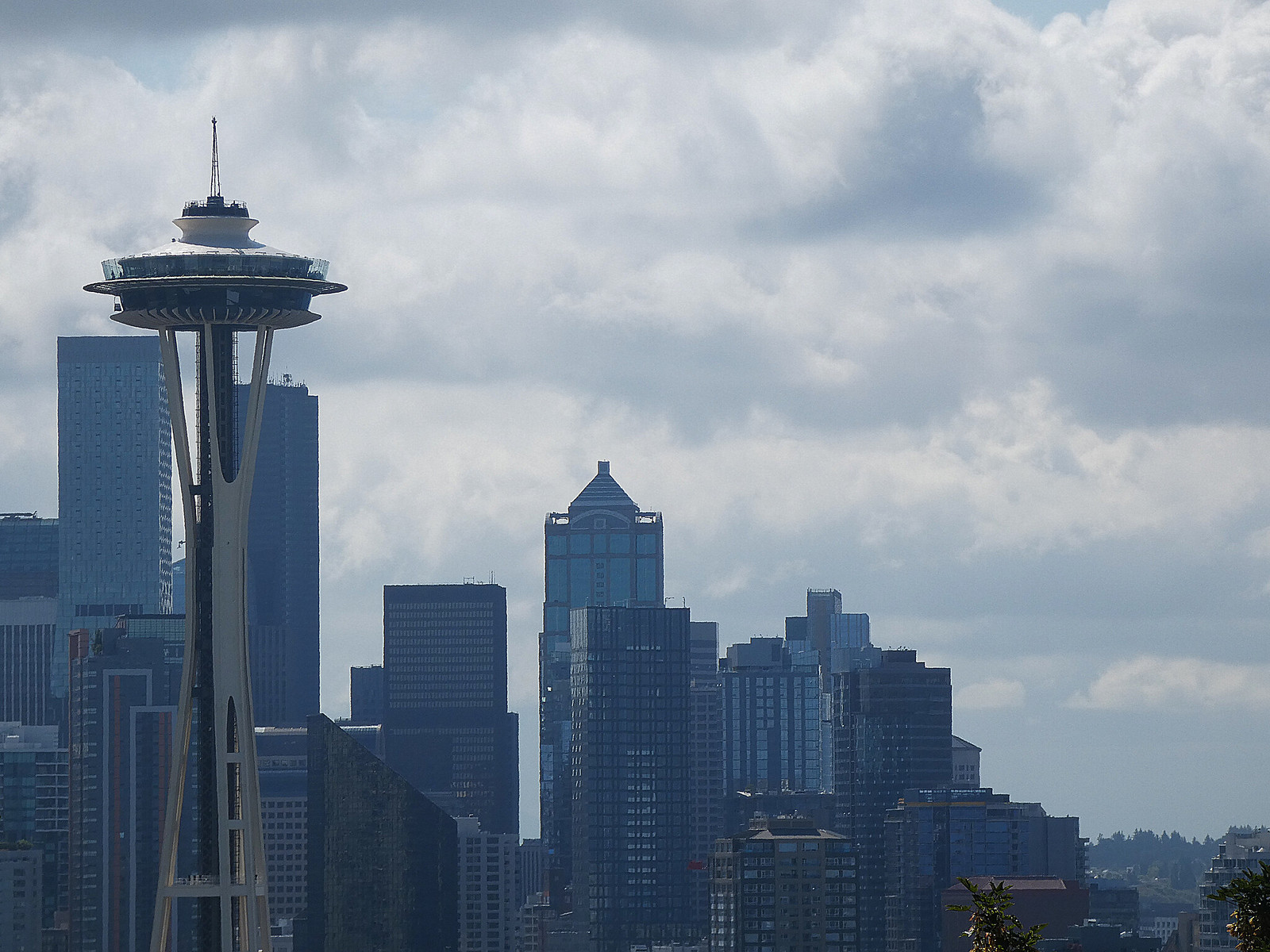 Seattle Center and the Space Needle: A Local Visitor Guide